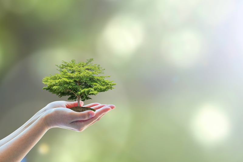 Declutter Your Life with Expert Assistance